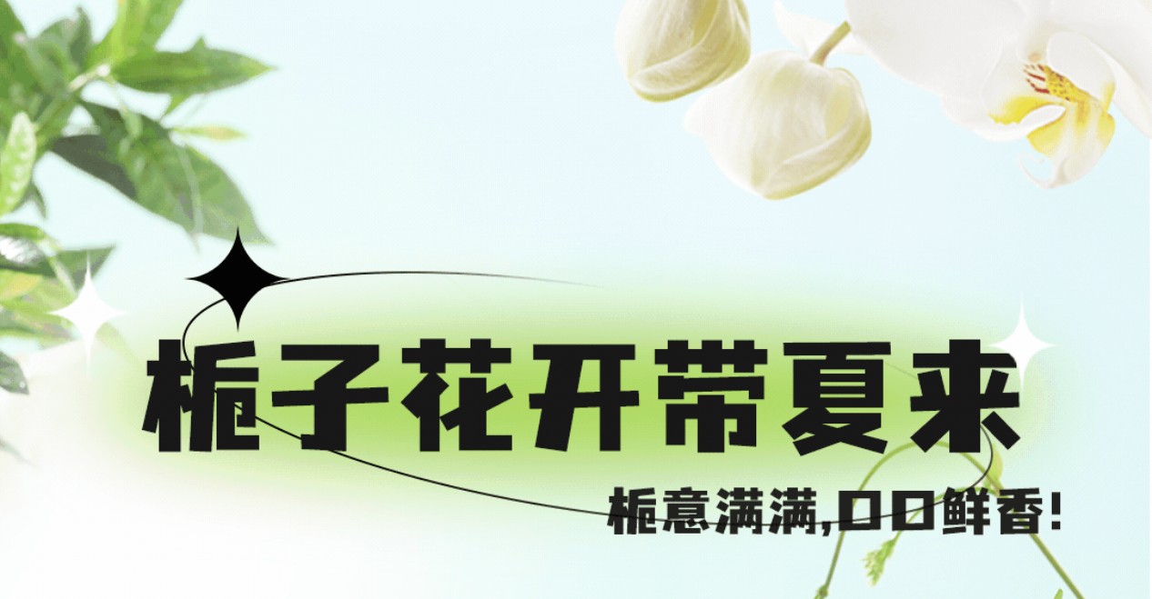 栀子花茶7月新上市 ，栀意满满，带你入夏！